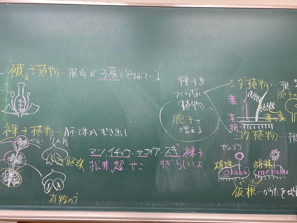 石和校 文理学院 校舎ブログ